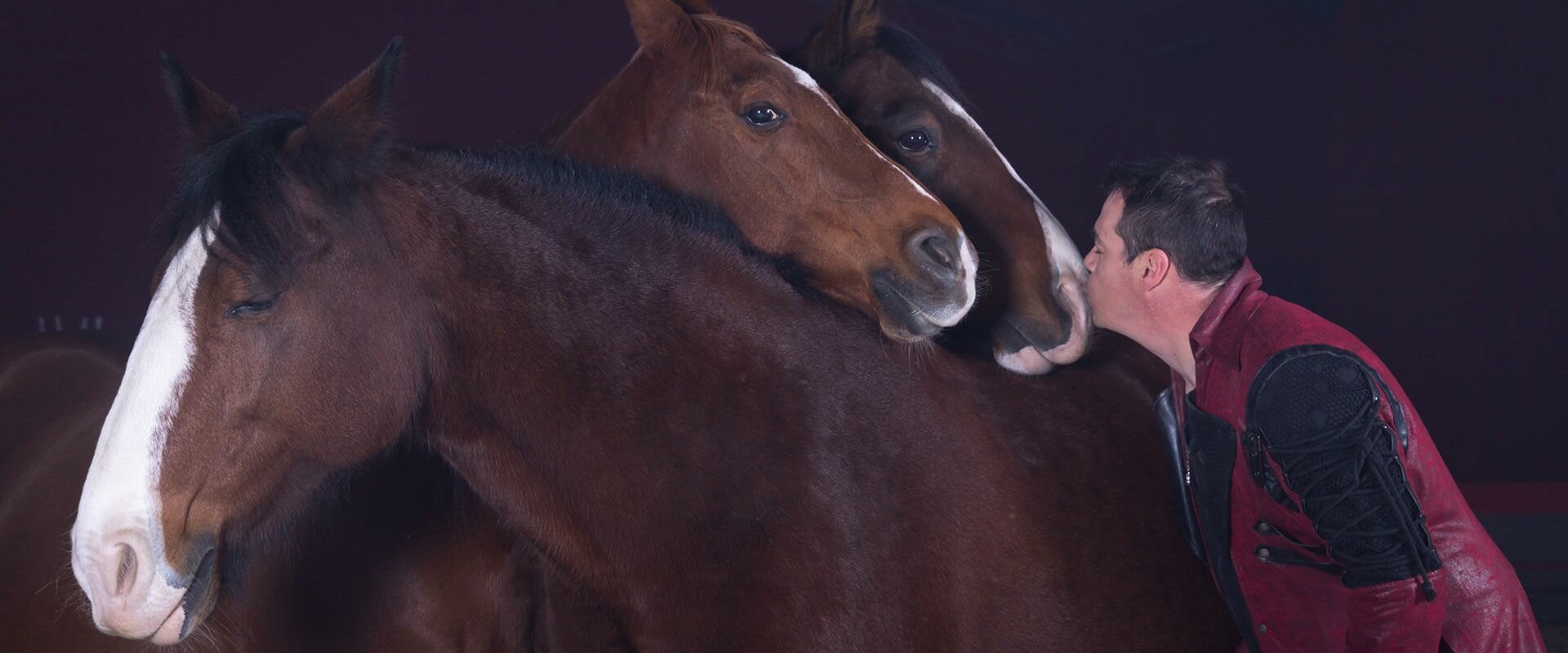 Arnaud Cabaret Orstella