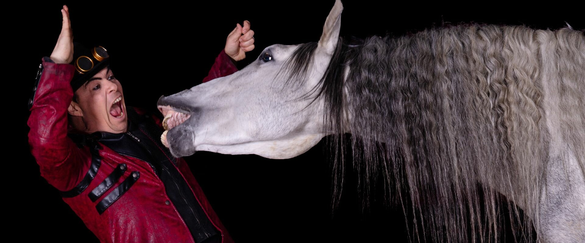 Cabaret Equestre Orstella