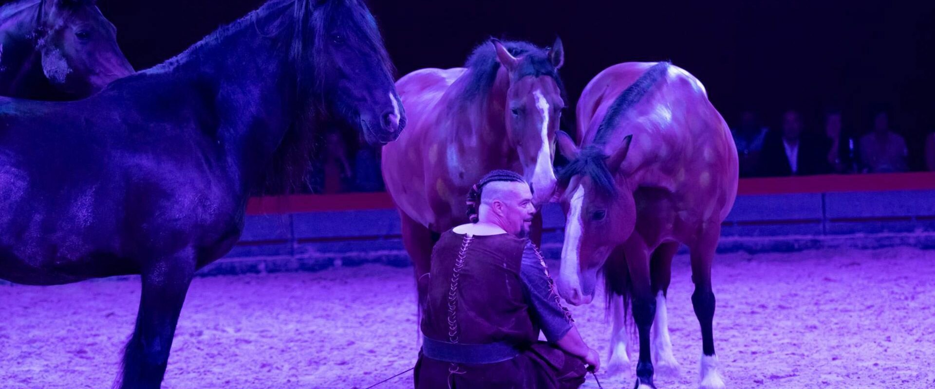 Chevauchee Numerique 05