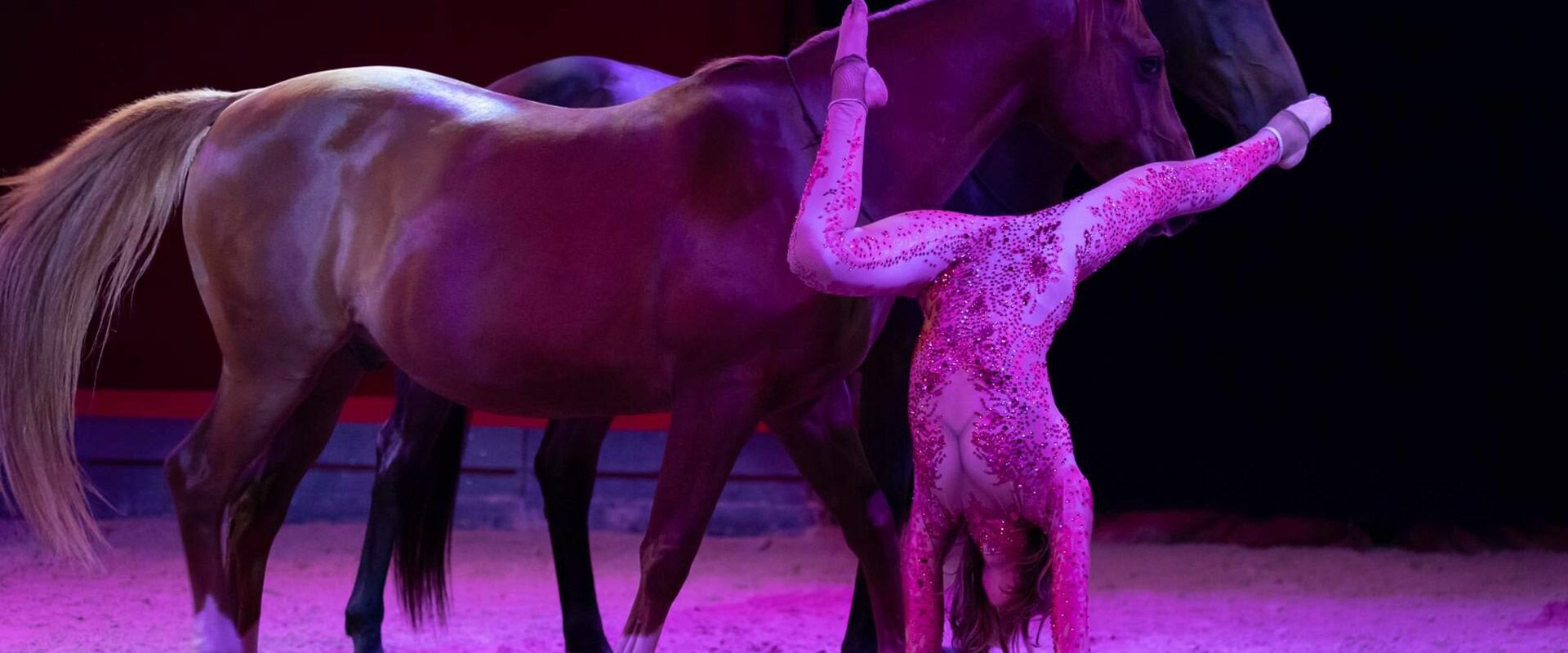 Chevauchee Numerique 09