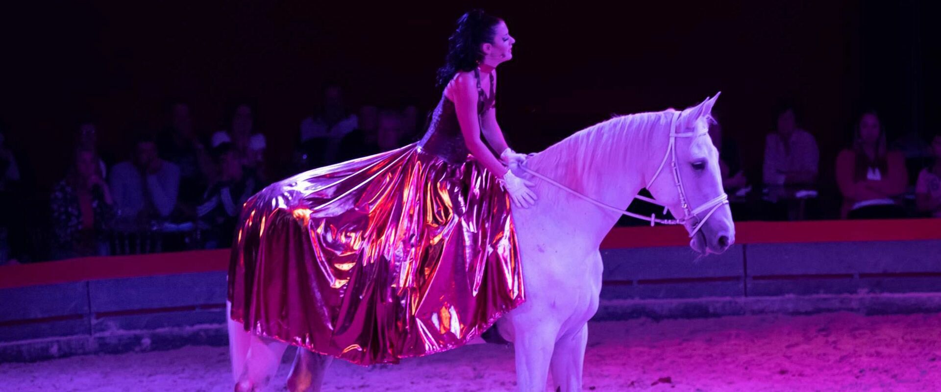 Chevauchee Numerique 11